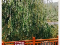 -徂徕山森林康养度假谷温泉