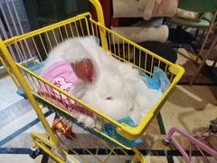 -猫色咖啡·猫咖