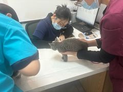 -中农大我爱我爱动物医院·核磁CT·猫病·24小时夜诊中心(石佛营店)