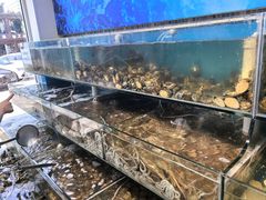 -仙螺岛海鲜自助餐厅(总店)