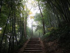-西湖风景区十里琅珰-五云山
