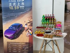 -上汽荣威体验中心(徐汇东安路店)