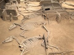 -洛阳周王城天子驾六博物馆