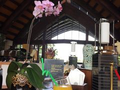 -三亚湾海居铂尔曼度假酒店