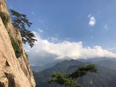 -陕西省红河谷森林公园