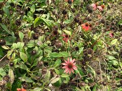 -汉长安城未央宫国家考古遗址公园