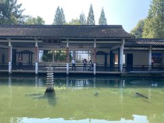 -杭州植物园