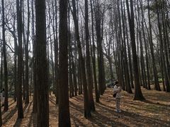 -杭州植物园