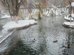 -水磨沟公园