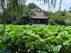 -西湖外事游船(花港观鱼码头)