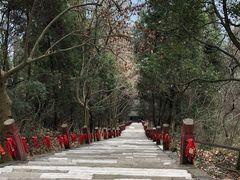 -窦圌山风景区