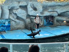 -泉州海丝野生动物世界