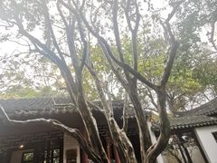 -秋霞圃