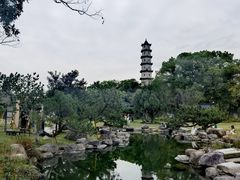 -江心屿景区