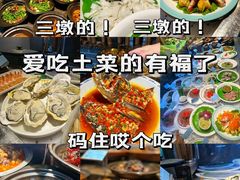 -千岛湖小鱼儿·淳安匠心农家菜