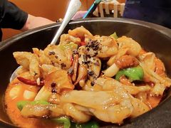 -云海肴·云南小炒·汽锅鸡(天津国金汇店)