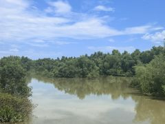 -崖口红树林海鲜餐厅