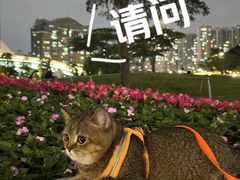 -二沙岛艺术公园