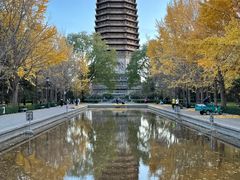 -玲珑塔公园