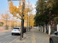 -复旦大学附属眼耳鼻喉科医院(浦江院区)