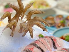 -红鼎豆捞·非遗鲍皇汤火锅(宝丰路店)