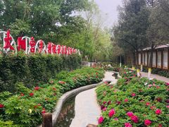 -太阳宫公园