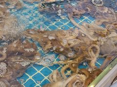 -集品鲜湾·蒸汽海鲜自助料理(青岛银座和谐广场店)