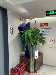 点击看大图 -木北造型