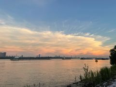 -蛙喔牛蛙(仙林万达茂店)