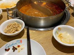 -青瓷火锅料理(西单大悦城店)