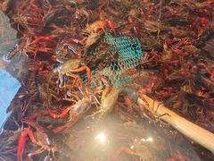 -王红军龙虾(新民路店)