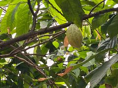 -歌斐颂巧克力小镇