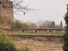 -阿尔罕布拉宫