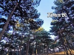 -北京西山国家森林公园