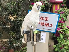 -盛世牡丹苑生态文化旅游区