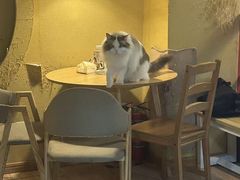 -白兔子密室(长寿路店)