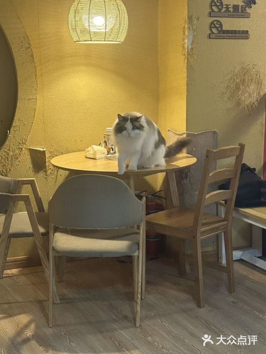 白兔子密室(长寿路店)图片