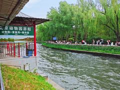 -皇家御河游(紫御湾码头)