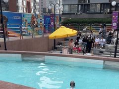 -帕帕拉兹宠物(亚洲旗舰店)