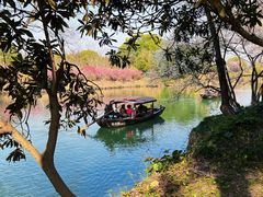 -西溪国家湿地公园