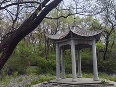 -高尔山公园