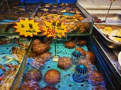 -添福来墨鱼饺子 · 海鲜东北菜(大连星海·黄浦路店)