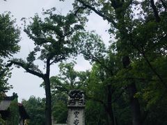 -灵谷景区