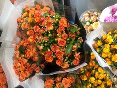 -循礼门鲜花花市(武汉循礼门店)