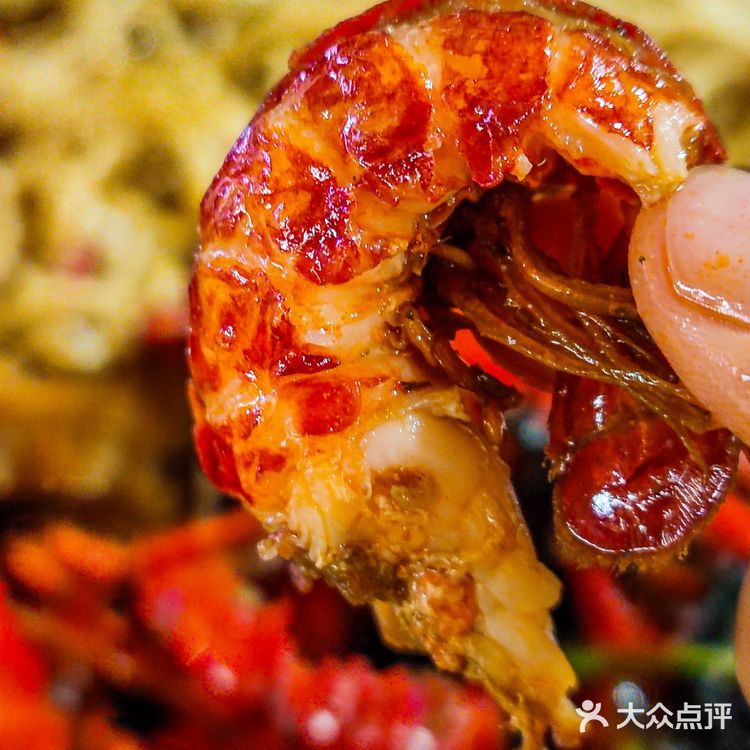 长沙这家龙虾馆我太爱了❗️游客必吃‼️