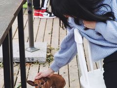 -灯塔咖啡馆BOOK·Coffee Shop