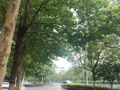 -你好酒店(合肥滨湖会展中心店)