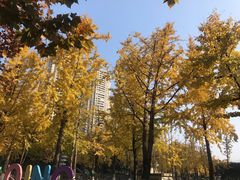 -重庆市江北嘴中央商务区中央公园