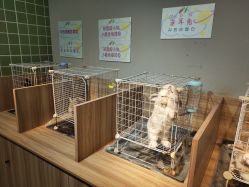 -Moni星球萌宠·小马宝莉·灵蛇·高端高阶全萌宠互动体验俱乐部(红豆国际广场店)