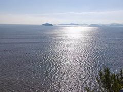 -北岐滩涂